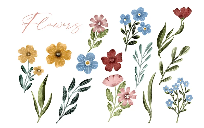 red, blue and pink flower illustrations