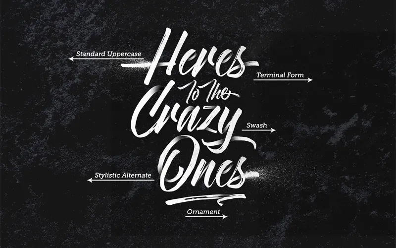 Novitha Hand Drawn Script Preview Text