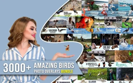 3000+ Amazing Bird Overlays Bundle | Extended License