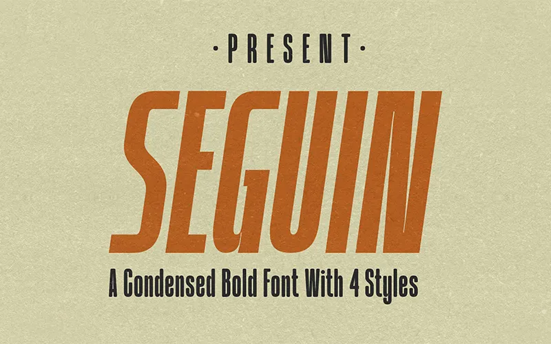 Popular Vintage Fonts - Seguin Bold Preview
