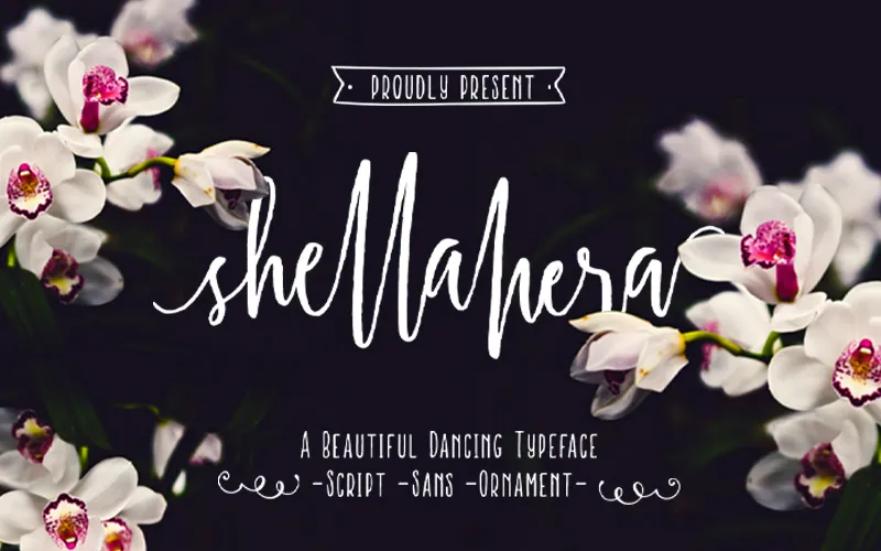 Shellahera Script Preview