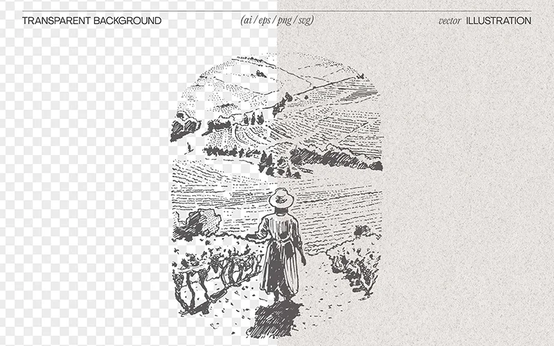 vineyard-drawings with transparent backgrounds
