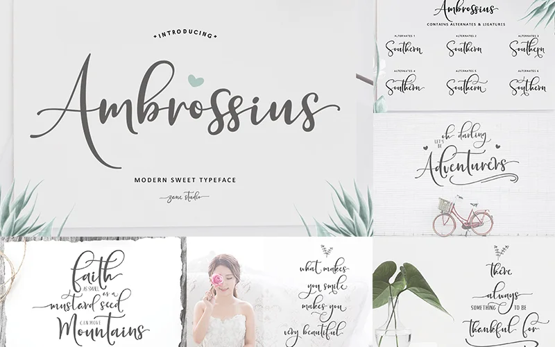 Image showcasing calligraphy script fonts