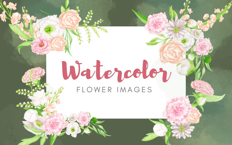 Watercolor Flower Images