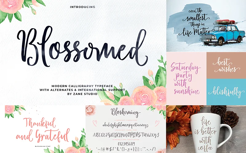 Modern CALLIGRAPHY Typeface