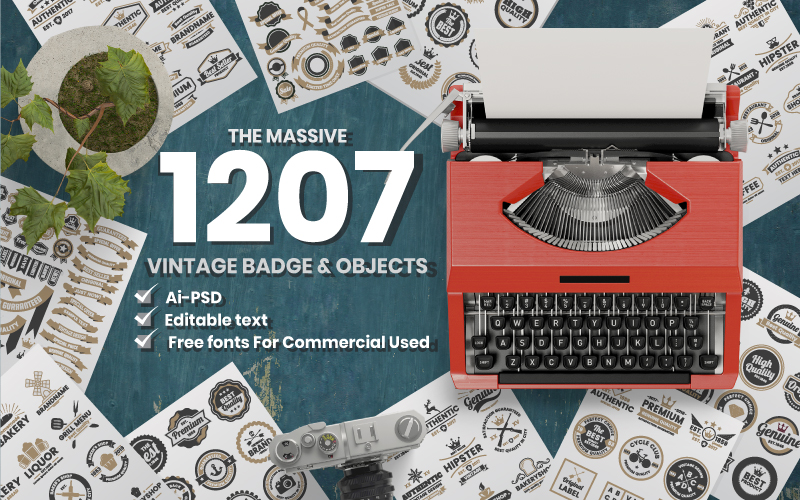 The massive 1207 vinatge badge and objects