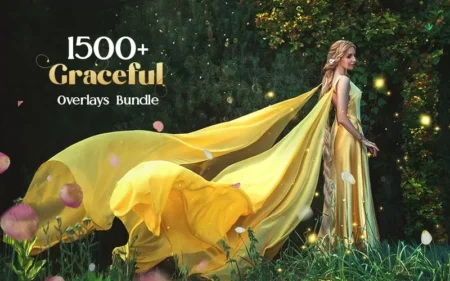 1500+ Graceful Image Overlays Bundle | Extended License