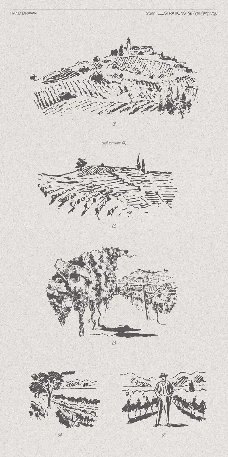 hand drawn wine elements