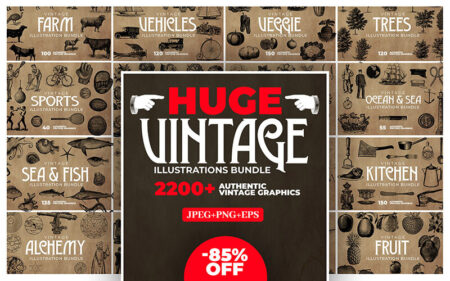 Huge vintage illustrations bundle