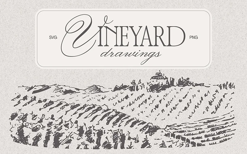 vineyard-drawings-preview