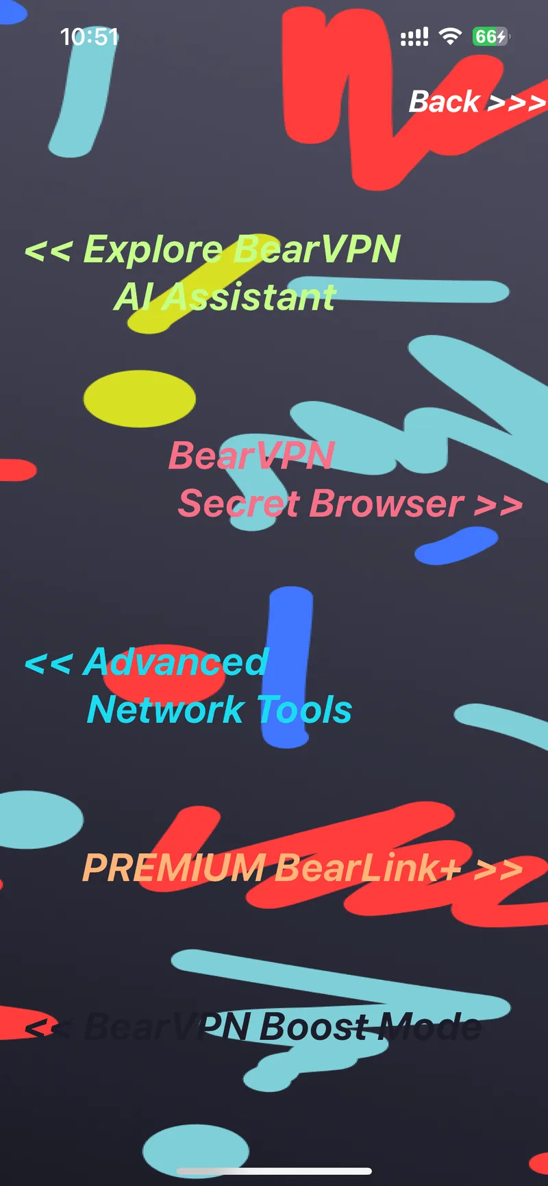 BearVPN Features