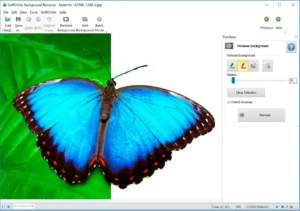 User interface for background removal of abutterfly