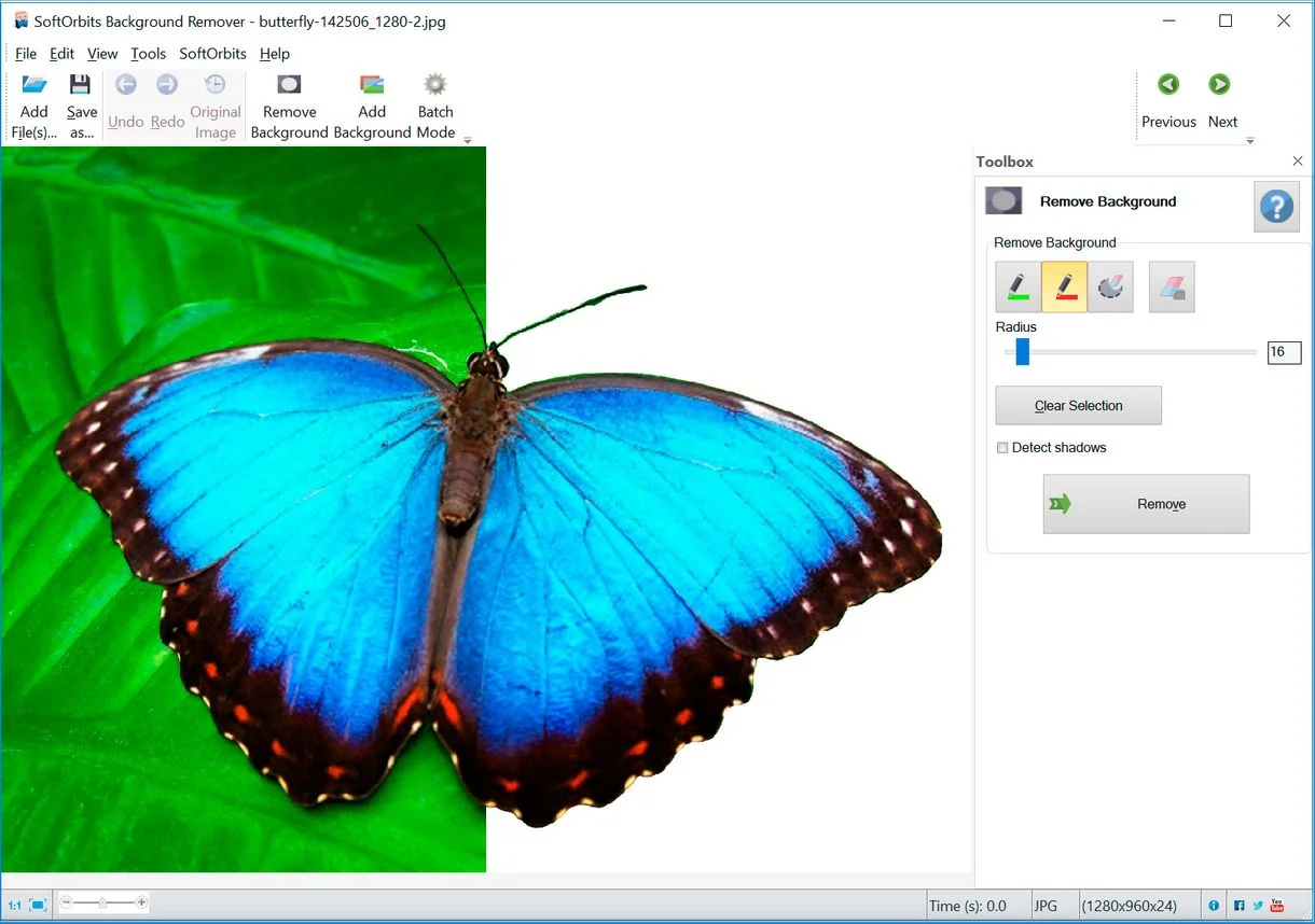 User interface for background removal of abutterfly