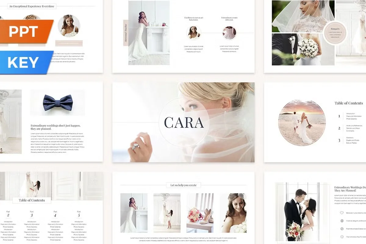 CARA Themed best presentation templates bundle