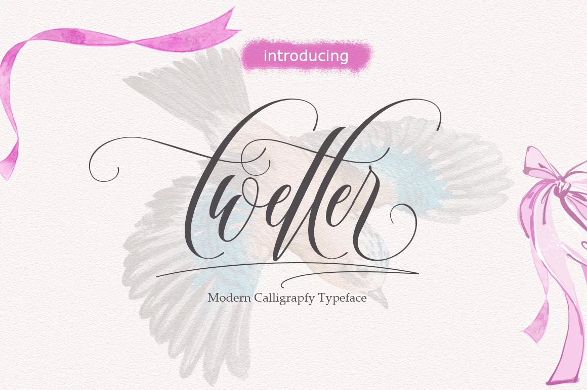 Twetter Script Font Bundle Calligraphy Fonts Bundle