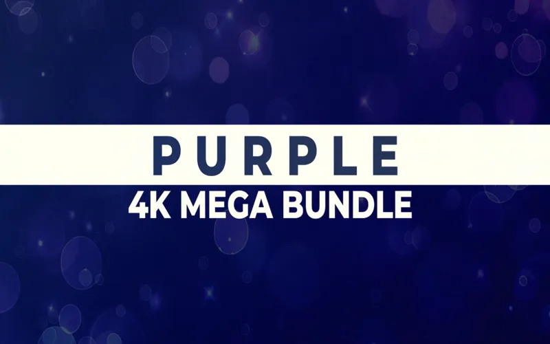Purple Video Animations