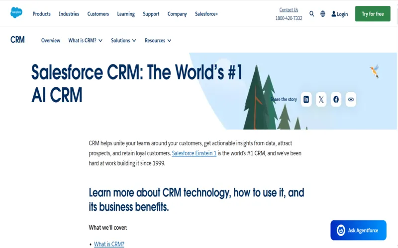 Salesforce Lifetime CRM Software Deal
