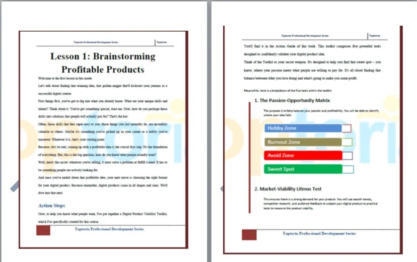 Brainstorming Profitable Products Activity