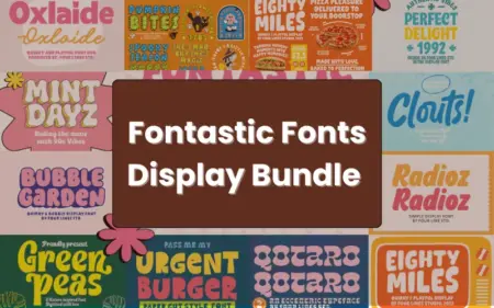 Fontastic Display fonts bundle feature image