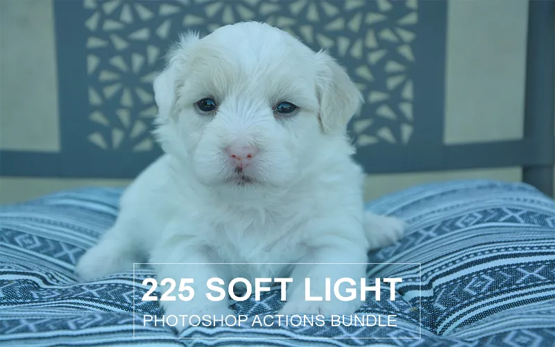 Soft Light Photoshop Actions