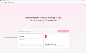 Backup videos feature tiktok videos downloader preview image