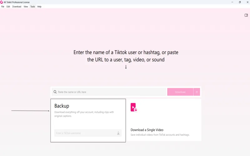 Backup videos feature tiktok videos downloader preview image