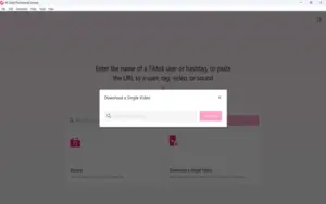 Download Single Video Feature Tiktok video downloader preview image