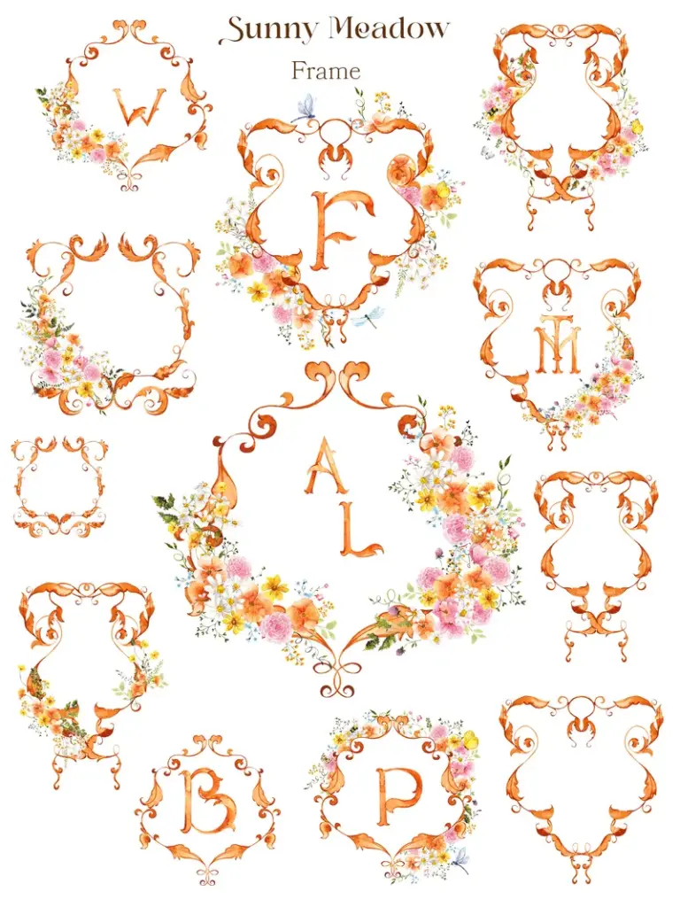 Frames preview image