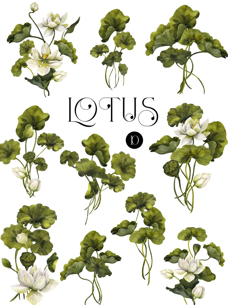 Preview of green lotus clipart included in the bundle