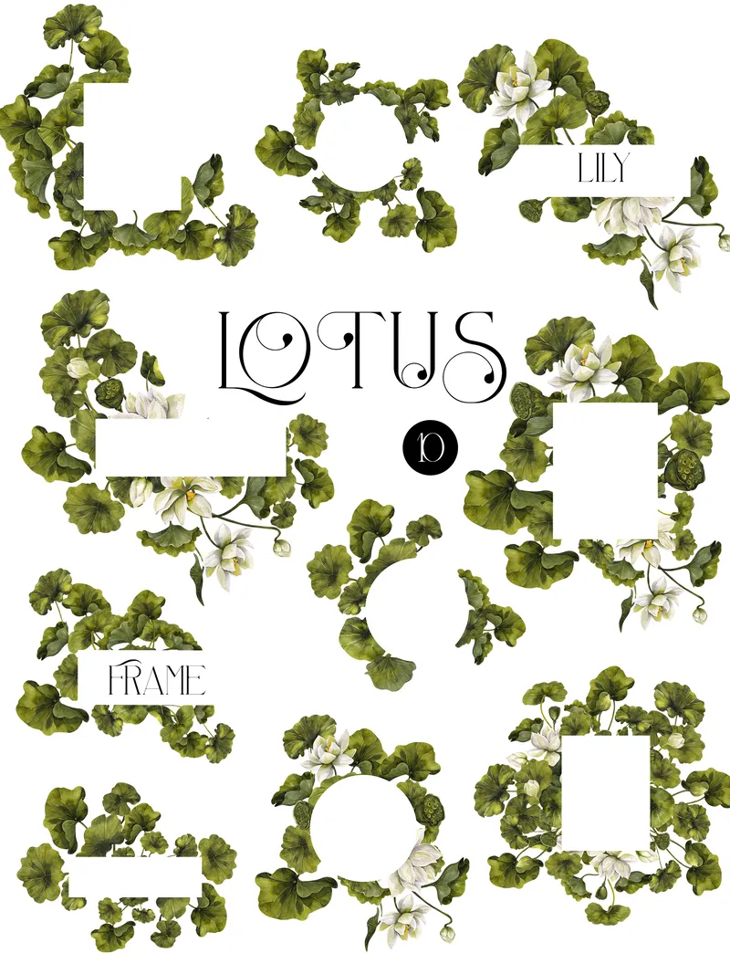 Preview of green lotus frame illustrations
