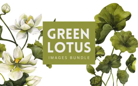 Green Lotus Images Bundle Feature Image