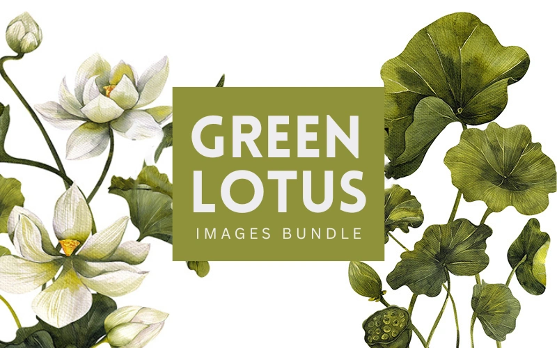 Green Lotus Images Bundle Feature Image