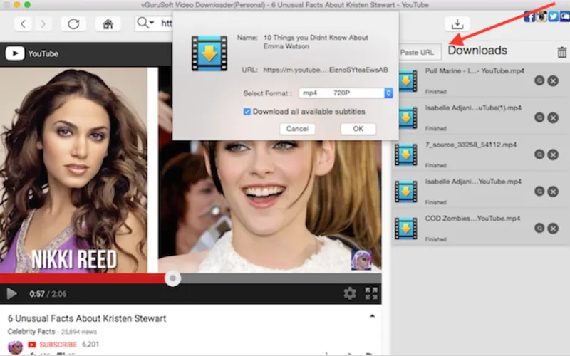 Resolution and batching youtube video downloader preview image