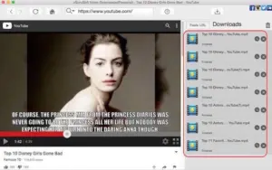 Subtitles youtube video downloader preview image
