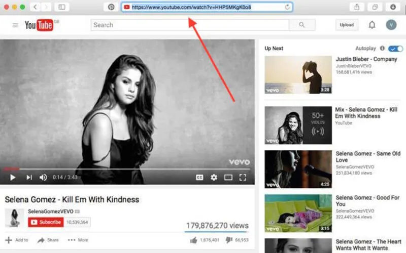Video download through URL preview image