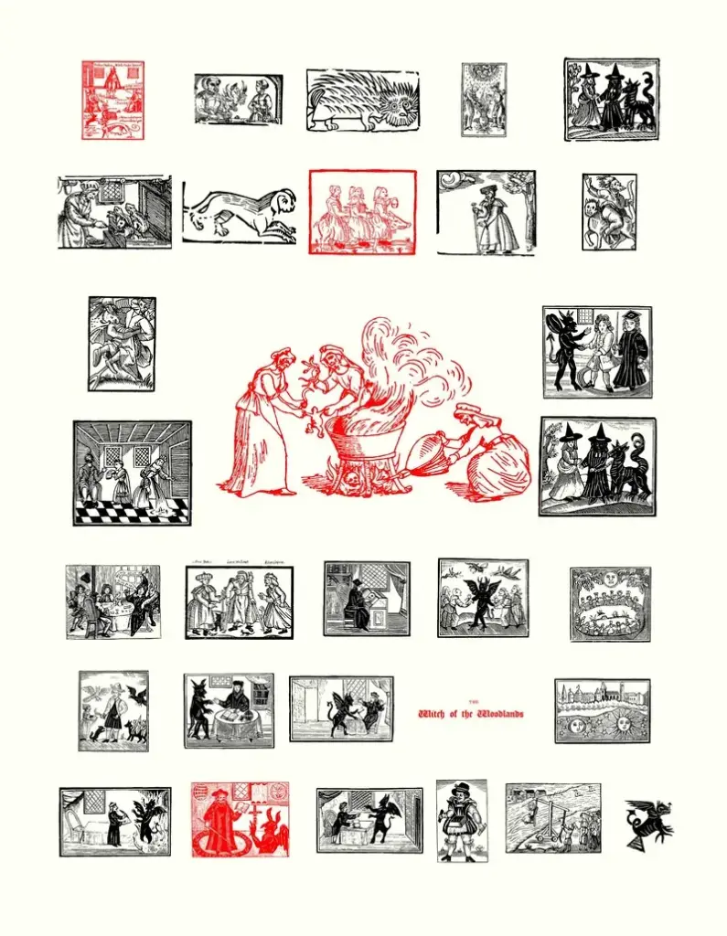 Witch of the Woodlands preview image