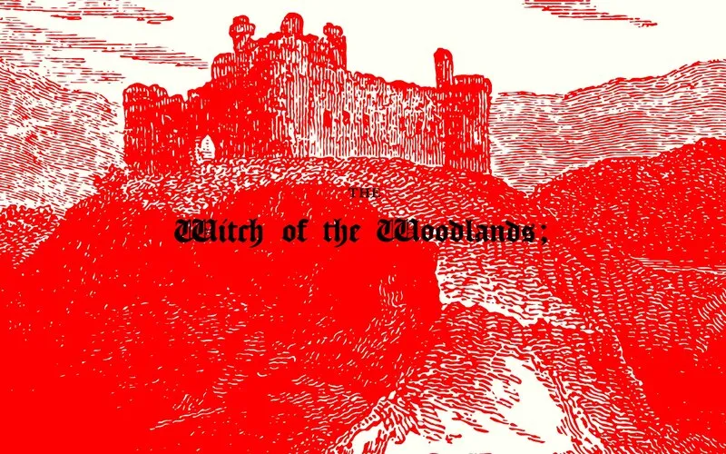 Wicth of the Woodsland Illustration preview image