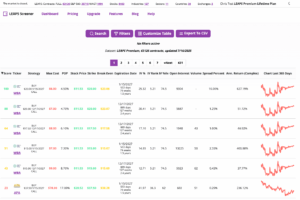 LEAPS Screener Dashboard Preview