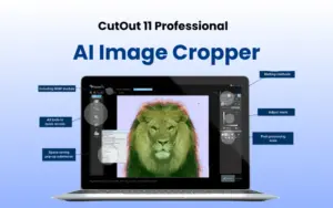 CutOut 11 Professional Feature Image