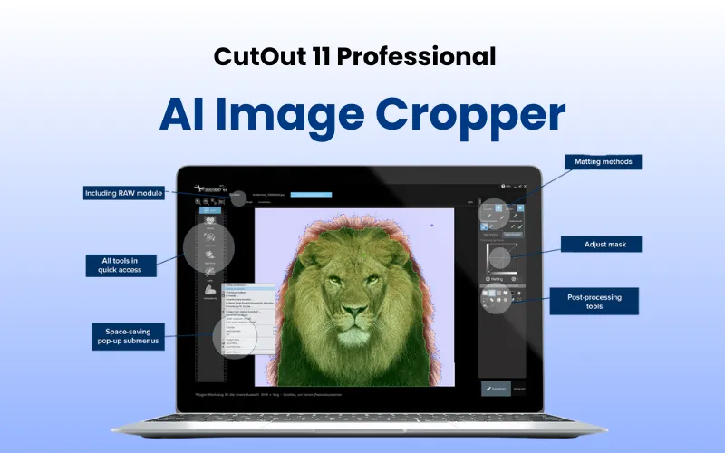 CutOut 11 Professional Feature Image