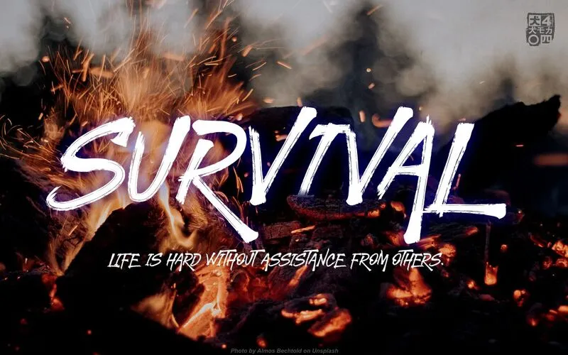 Preview text of the STRONGHOLD Brush Font