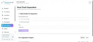 AI Voice Track Separation In Megatranscript