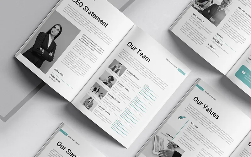 CEO statement and team profiles in white paper