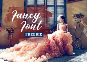 Fancy Font Freebie | Extended License