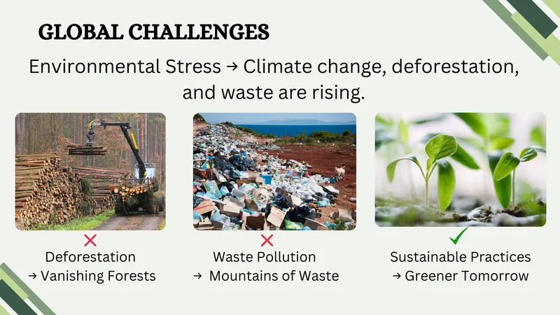 Global Environment challenges slide