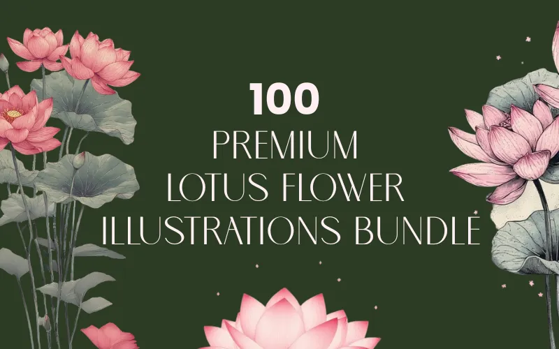 Lotus Illustrations Bundle Feature Image