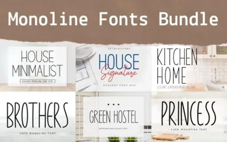 Monoline Fonts Bundle Feature Image