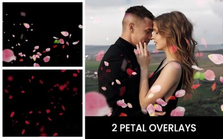 2 Petal Overlays Feature Image