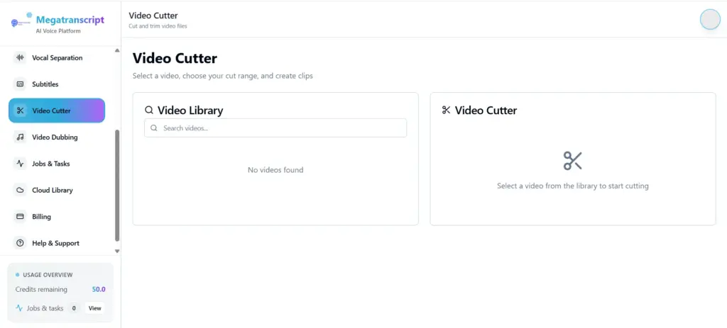 AI Video Cutter In Megatranscript