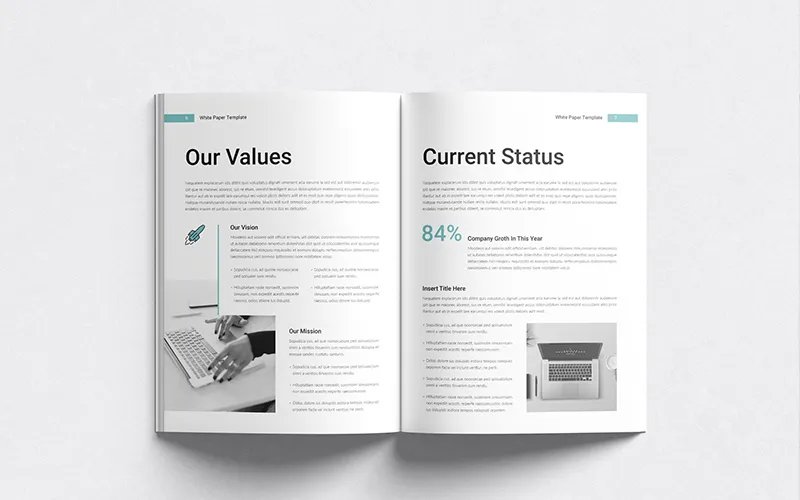 Vision, mission, and growth stats layout